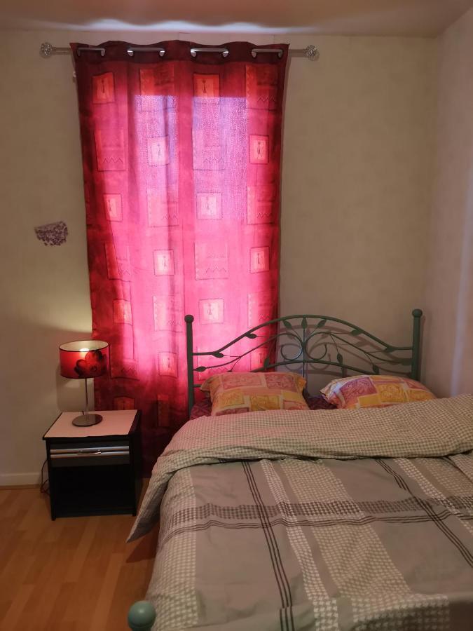 Super Appartement Chez Mon General Clermont-Ferrand Bagian luar foto